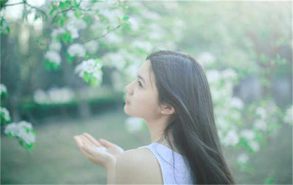 东莞生态园验血查男女几周可以验(验血查男女结果图)